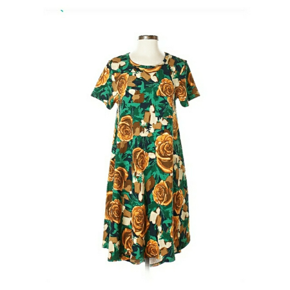 LuLaRoe Short Sleeve Floral Patterned Dress (XS)